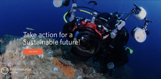 ANERIS Project Milestone: MINKA Surpasses 200,000 Marine Observations