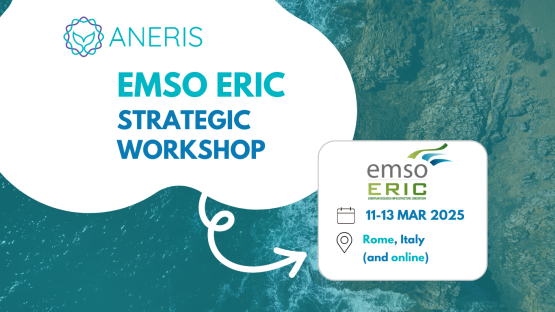 EMSO Strategic Workshop - Trends and Future Directions in Marine Research and Services