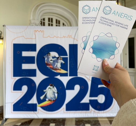 ANERIS Showcases Marine Innovation at EGI 2025 in Santander