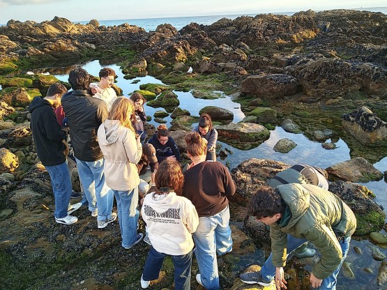 Three BioMARathons will Engage Citizens in Marine Biodiversity Monitoring Supported by ANERIS in 2024