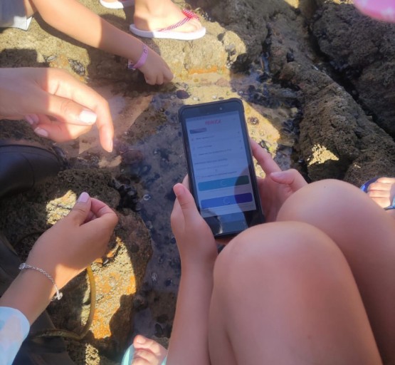 Citizen Science Activity on Intertidal Biodiversity (Portugal)