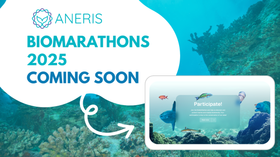 BioMARathon 2025 is coming soon