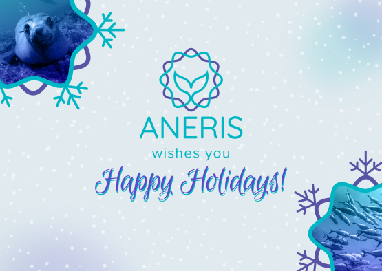 Happy Holidays from ANERIS