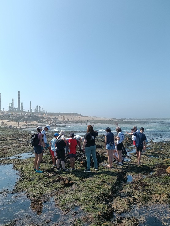 More Citizen Science Activities at the BioMARatona Norte in Portugal