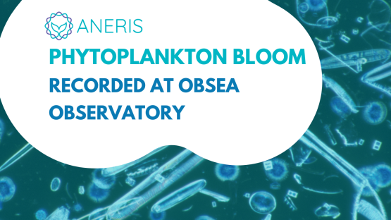 Bloom of microphytoplankton at the OBSEA observatory detected by the CytoSub