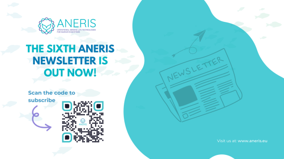 The sixth bi-annual ANERIS newsletter is out