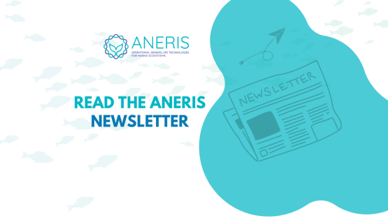 ANERIS Published its Second Newsletter