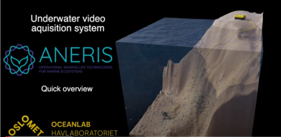 Developing the EMUAS System: Prototypes, Deployment Tests, and Future Innovations