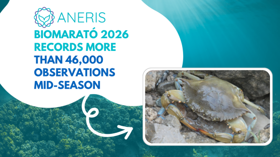 BioMARató 2026 is in its mid-season, recording more than 46,000 observations