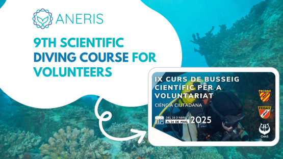 9th Scientific diving course for volunteers organised by FECDAS