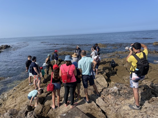 ANERIS took part in an engaging citizen science event in Portugal