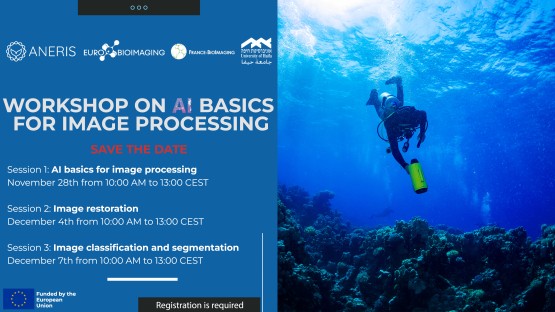 ANERIS Workshops on AI Basics for Image Processing