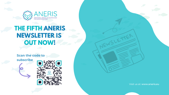 The fifth bi-annual ANERIS newsletter is out