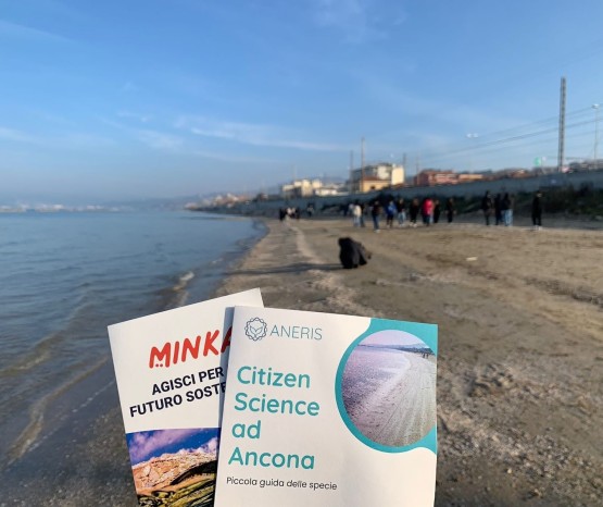 ANERIS and MINKA host citizen science workshops and present their activities at a conference in Ancona, Italy
