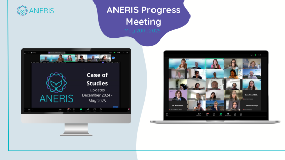 ANERIS Progress meeting