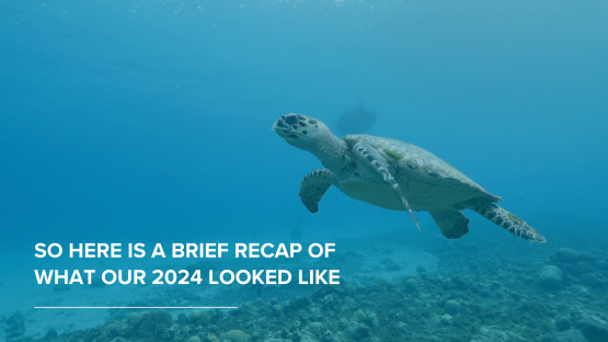 ANERIS 2024: Year in Review - Highlights Video