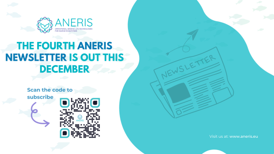 ANERIS Newsletter: The latest issue of our news bulletin is out