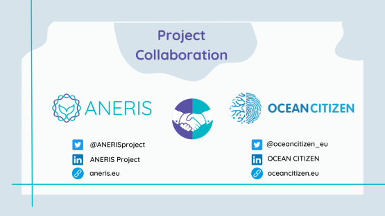 Project Collaboration with OCEAN CITIZEN