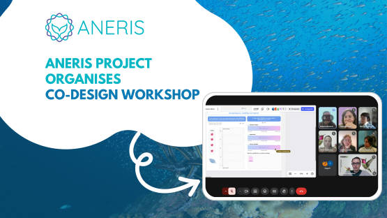 ANERIS organises its Co-Design Workshop with Science for Change and Pensoft Publishers
