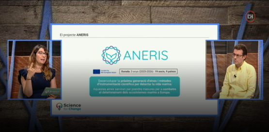 Citizen science: a key piece for marine conservation