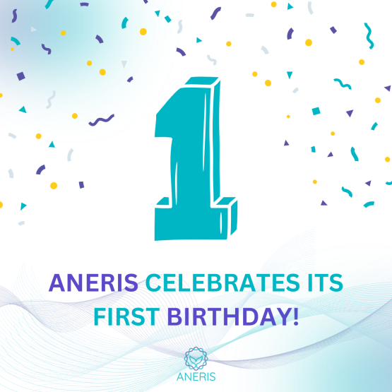 ANERIS Celebrates its First Birthday
