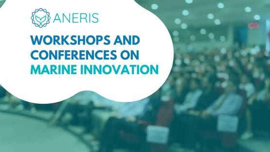 Summer lineup ahead for ANERIS: Workshops and conferences on marine innovation