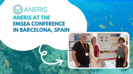 ANERIS at the EMSEA Conference 2026