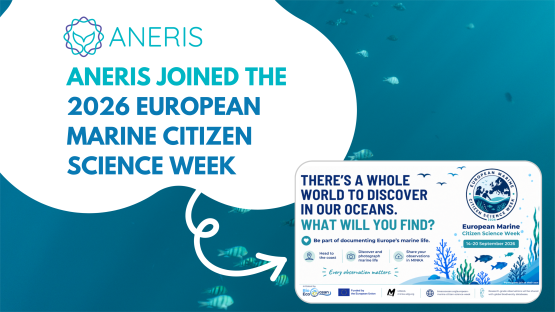 ANERIS joined the 2026 edition of European Marine Citizen Science Week