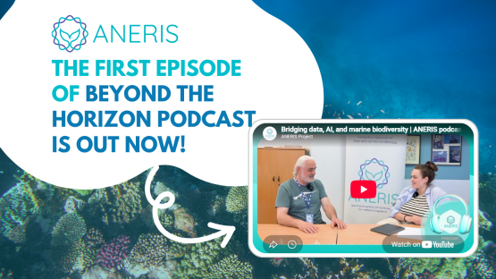 The first episode of the ANERIS Podcast Beyond the Horizon is out now!
