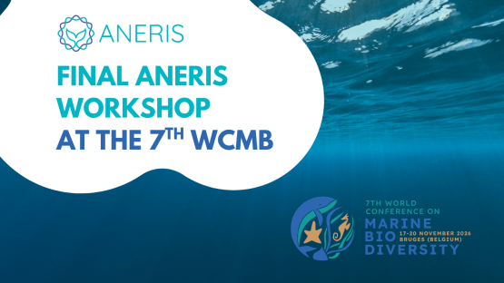 ANERIS Final Workshop: The future of marine monitoring – imaging, AI, and research infrastructures