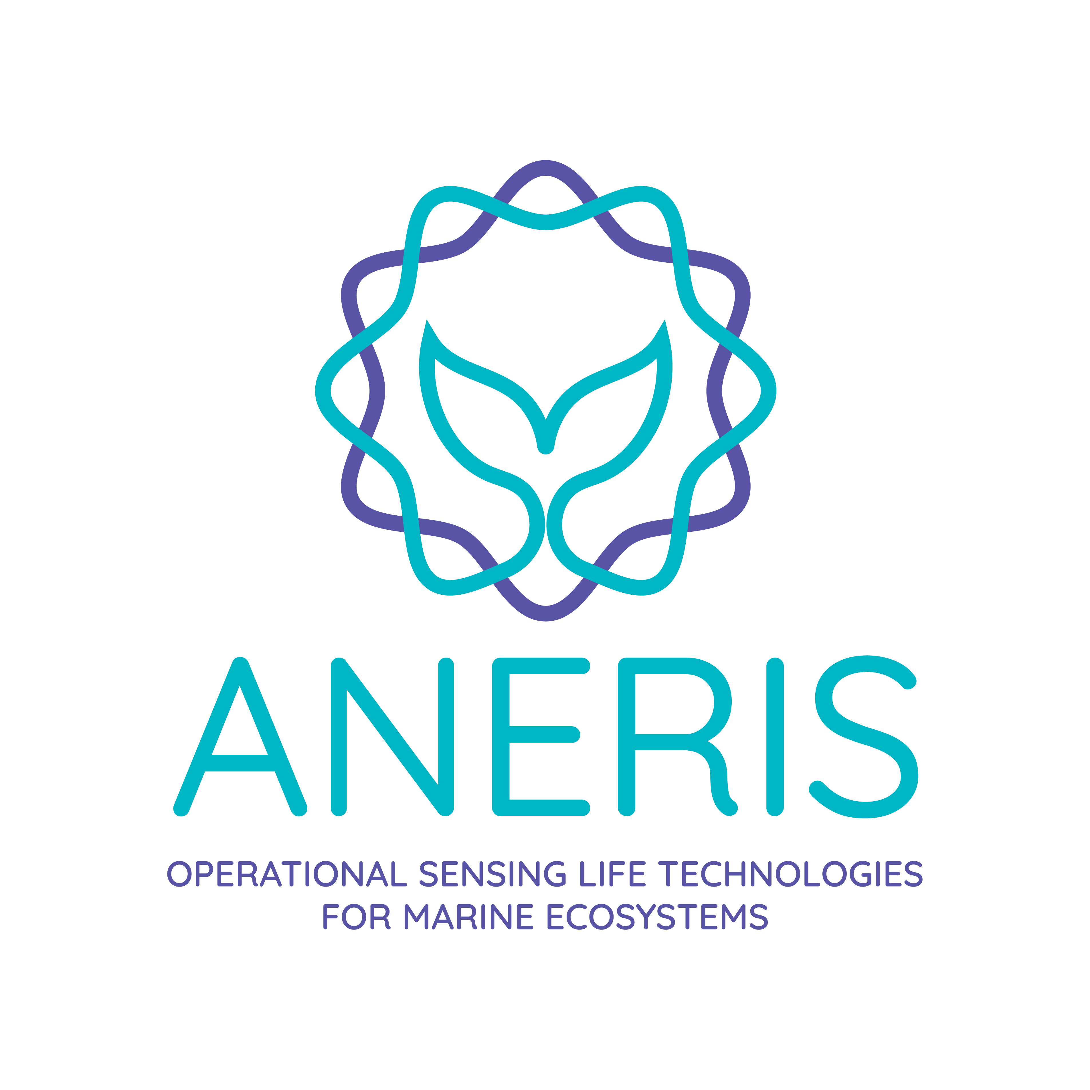 ANERIS vertical logo - with text logo