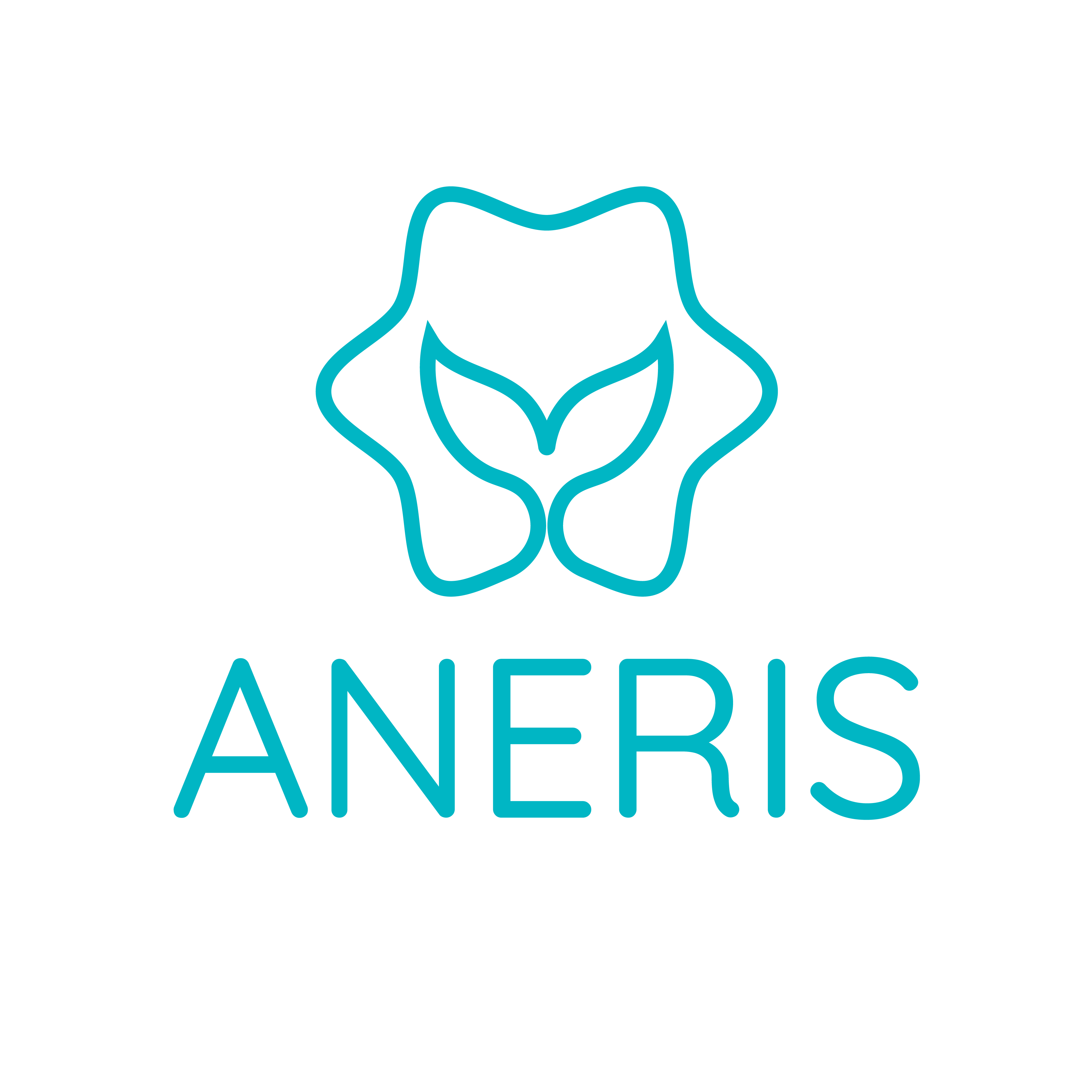 ANERIS vertical logo - white with full text logo