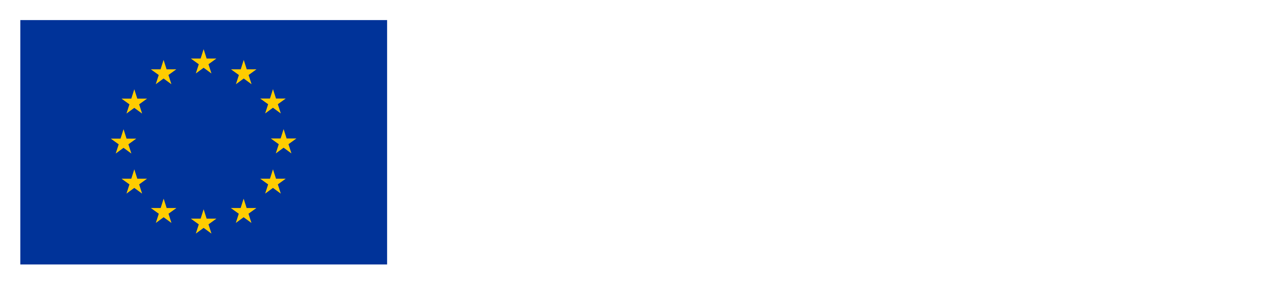 European Union flag
